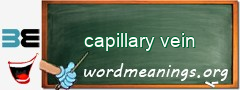 WordMeaning blackboard for capillary vein